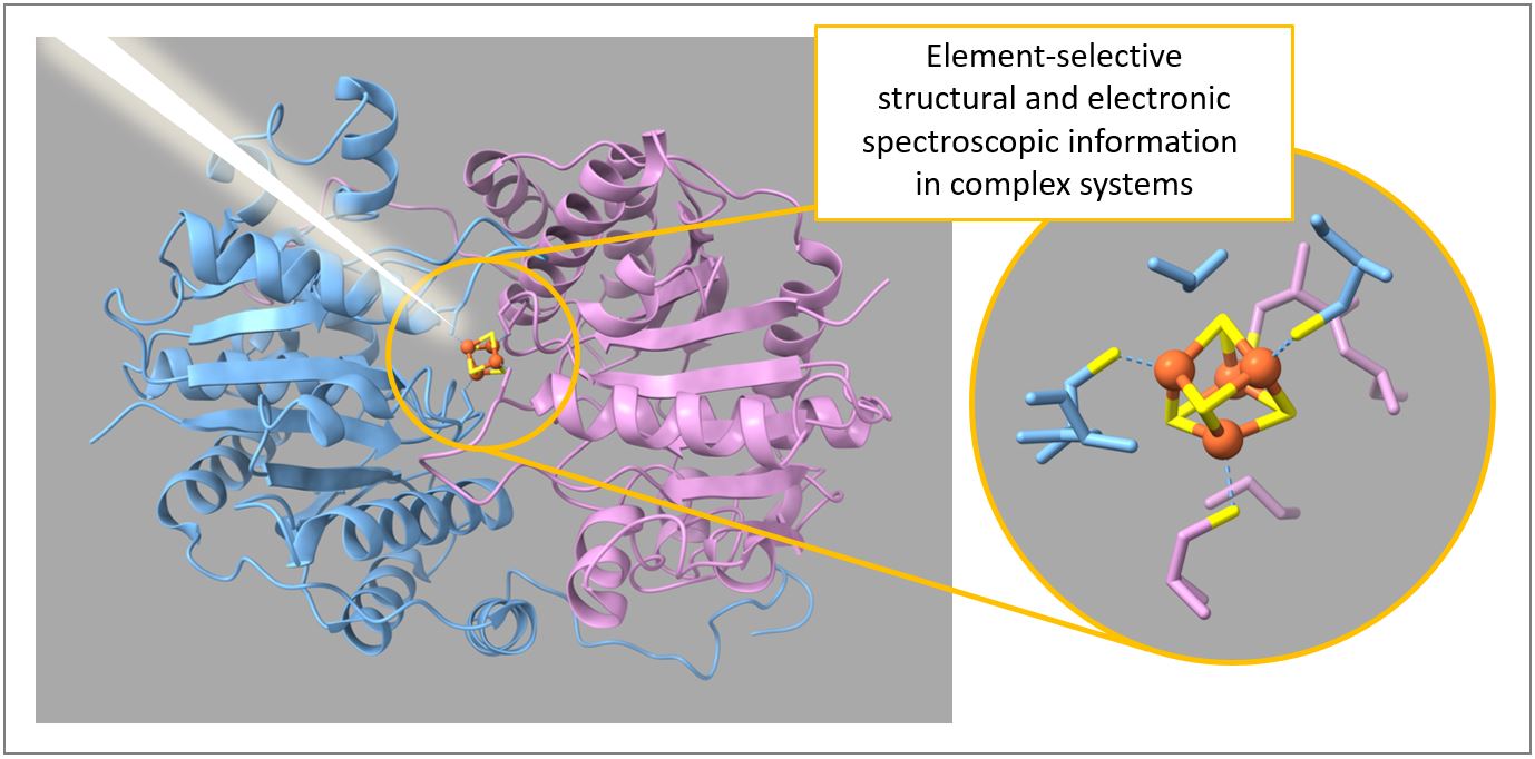 METRICS_FeS_Nitrogenase002.JPG